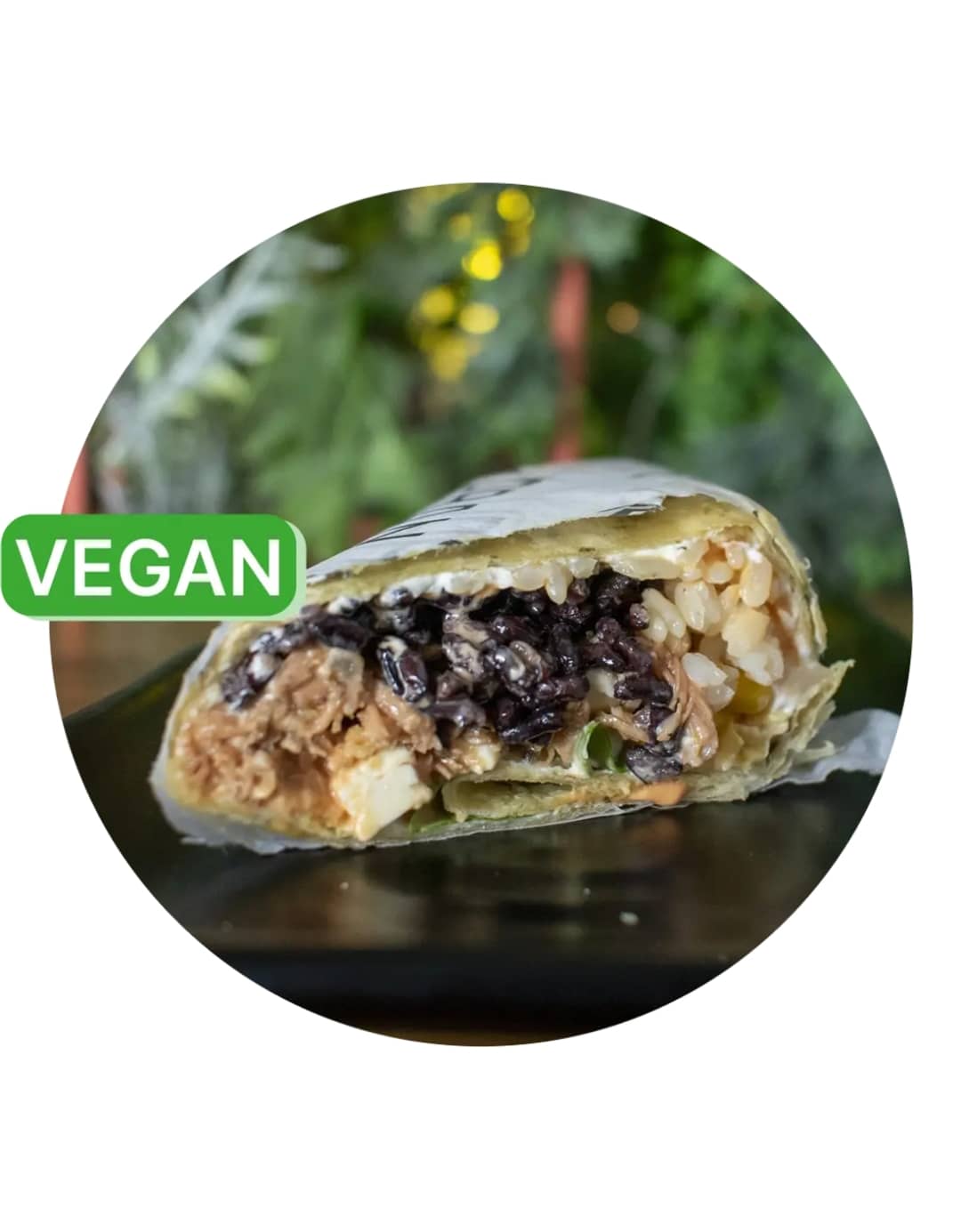 Vegan Wrap